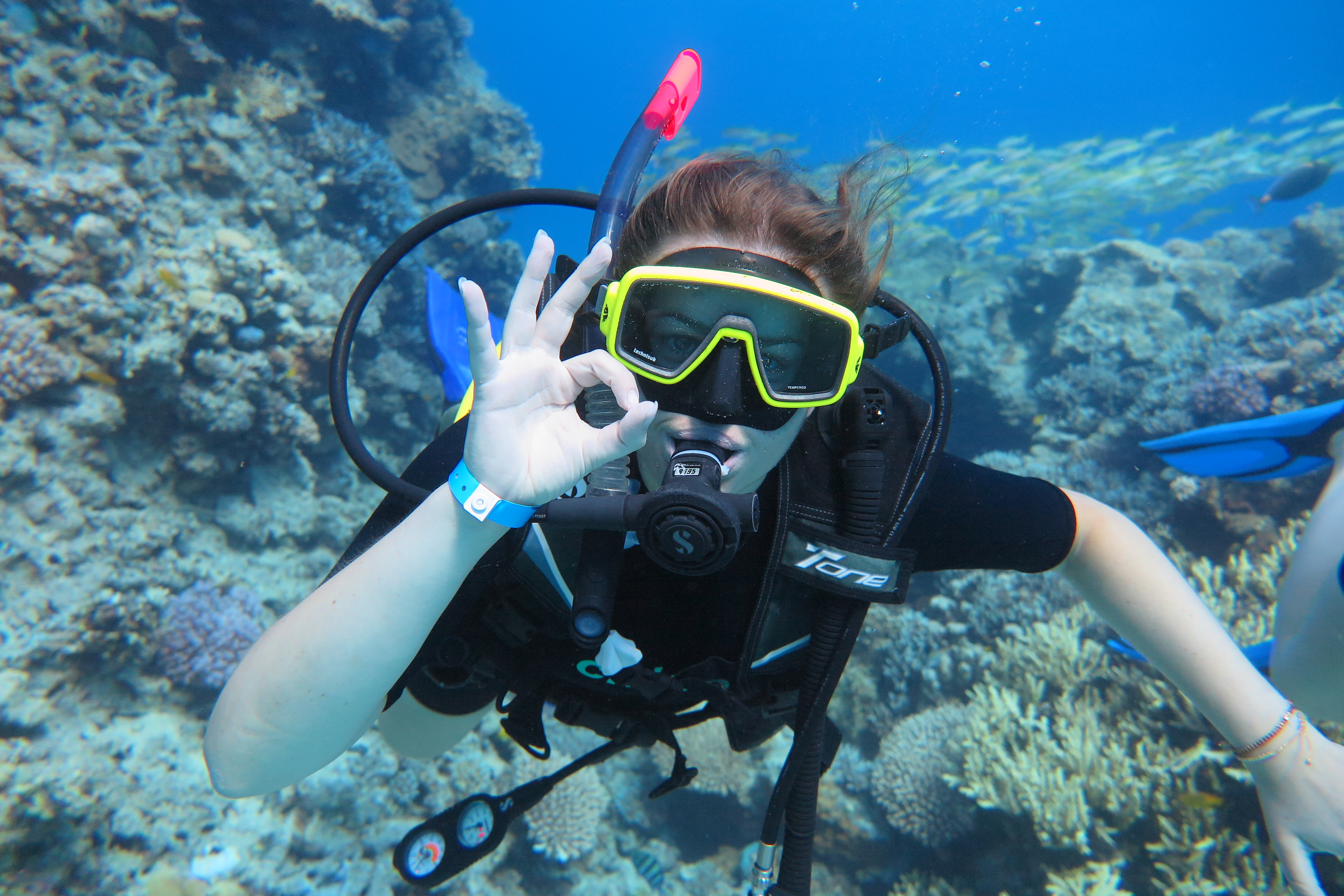 3 days on the boat for diving, Lunch & Soft drinks