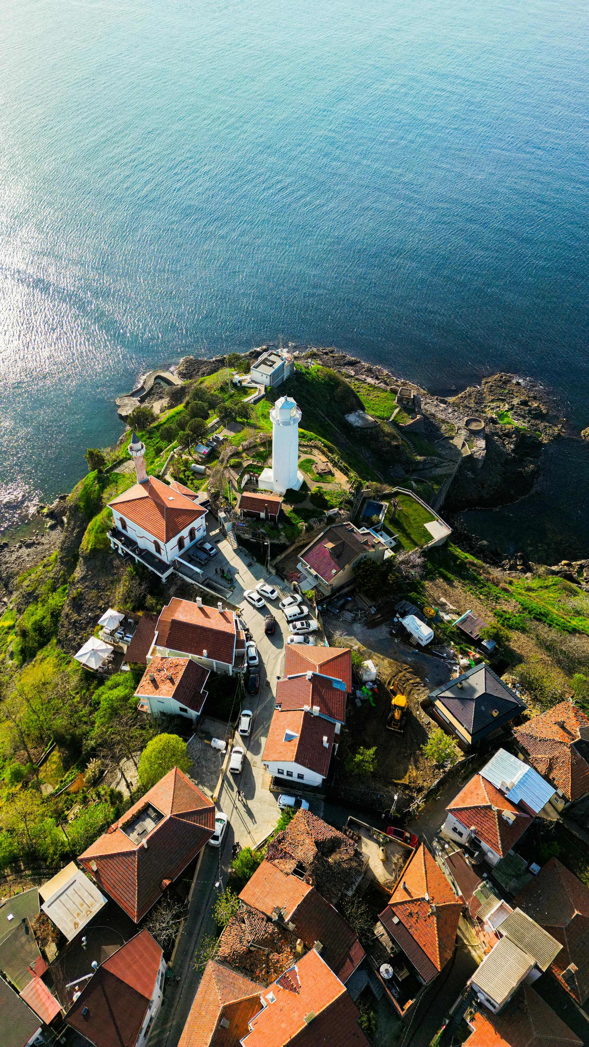 Day 5 - Phillip Island and Brighton Beach (Penguin Parade, Koalas & Kangaroos).