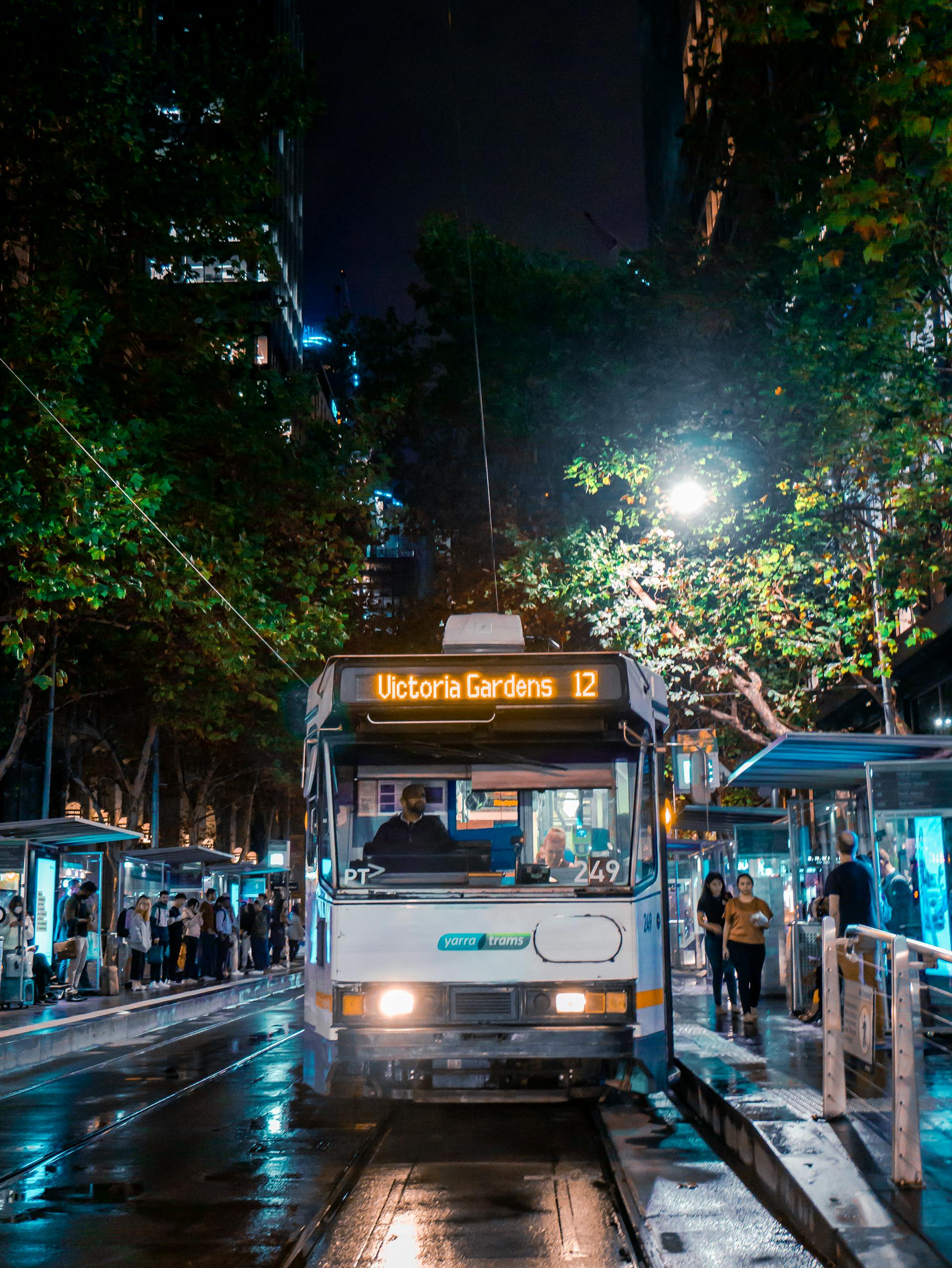 Day 2 - City Highlights Group Tour by Bus.