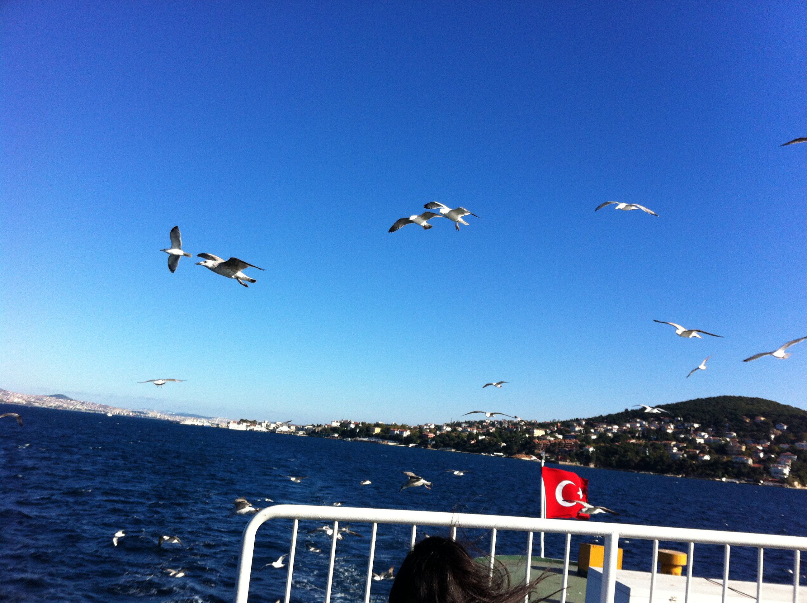 Day 3 - PRINCES ISLAND TOUR.