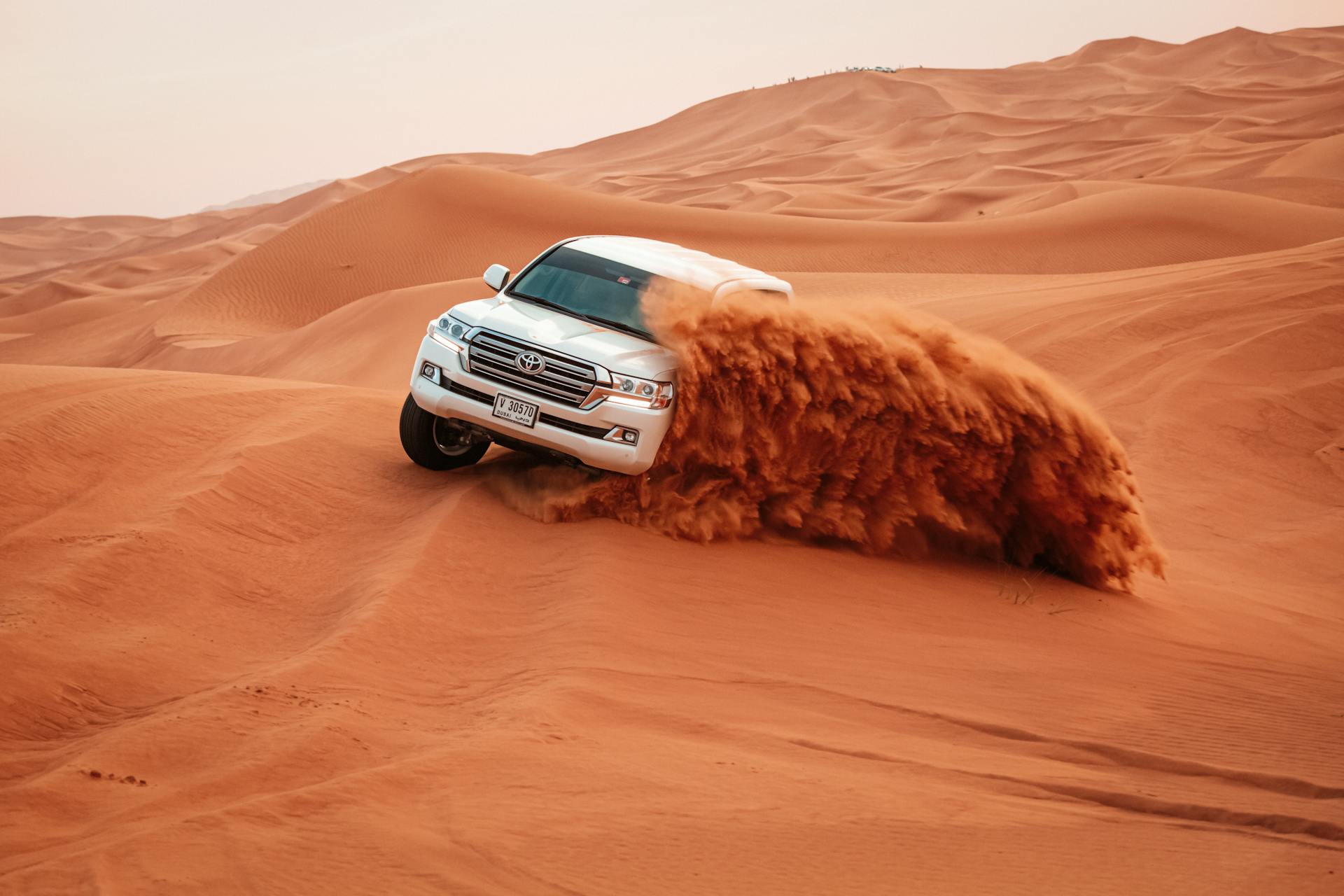 Day 2 - Afternoon Desert Safari.