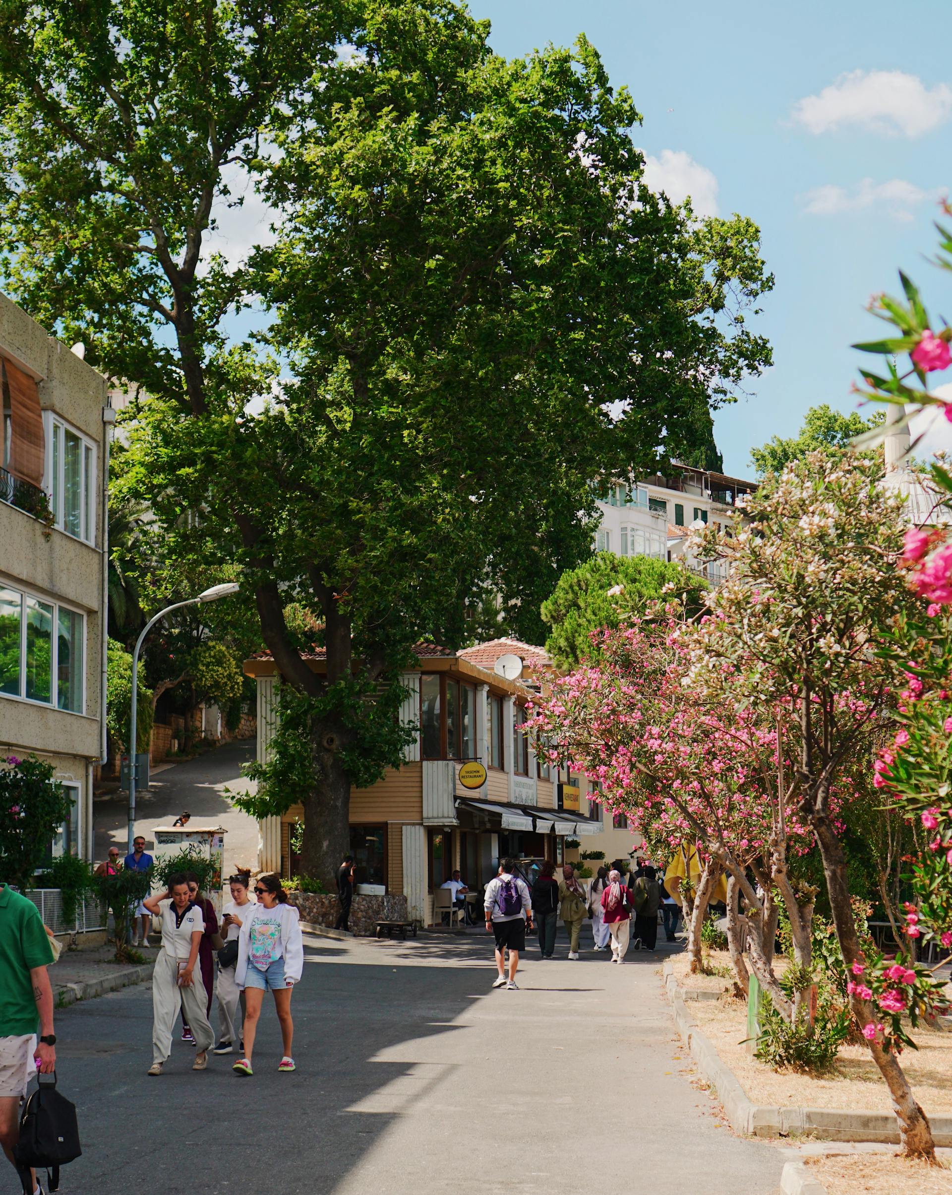 Day 4 - ISTANBUL - FREE DAY.