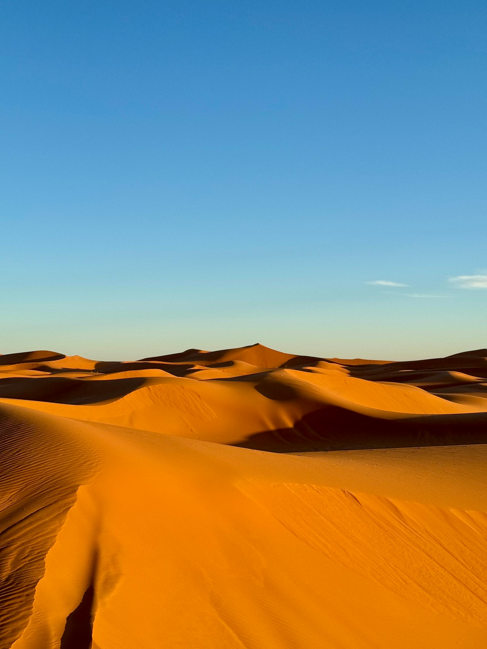 Day 5 - Ouarzazate - Zagora – Village Tamegroute- Erg Chebbi- Merzouga.